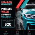 Quick Pressure Wash + Shampoo